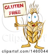 Clipart Of A Wheat Mascot Holding A Gluten Free Sign Royalty Free Vector Illustration
