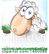 Poster, Art Print Of Cartoon Happy Sheep With Grass Over A Sign