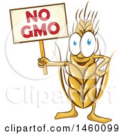 Clipart Of A Wheat Mascot Holding A No Gmo Sign Royalty Free Vector Illustration