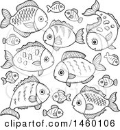 Poster, Art Print Of Black And White Fish