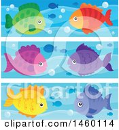 Poster, Art Print Of Colorful Fish Borders