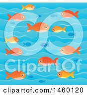 Poster, Art Print Of Background Of Blue And Orange Fish