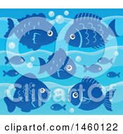 Poster, Art Print Of Background Of Blue Fish