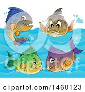 Poster, Art Print Of Piranha Fish