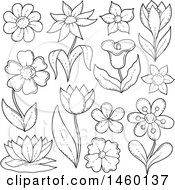 Clipart Of Sketched Black And White Flowers Royalty Free Vector Illustration