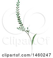 Clipart Of A Branch With Leaves Royalty Free Vector Illustration