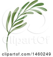 Poster, Art Print Of Branch With Leaves