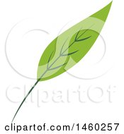 Poster, Art Print Of Green Leaf