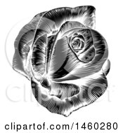 Clipart Of A Black And White Engraved Rose Royalty Free Vector Illustration
