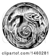 Clipart Of A Vintage Black And White Woodcut Dragon Forming A Spiral In A Circle Royalty Free Vector Illustration