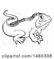 Clipart Of A Black And White Iguana Lizard Royalty Free Vector Illustration by AtStockIllustration
