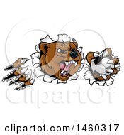 Clipart Of A Vicious Aggressive Bear Mascot Slashing Through A Wall With A Soccer Ball In A Paw Royalty Free Vector Illustration