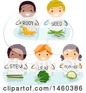Poster, Art Print Of Group Of Children Showing And Holding Signs On Root Seed Stem Leaf And Flower