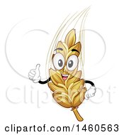 Poster, Art Print Of Wheat Or Barley Mascot Giving A Thumb Up