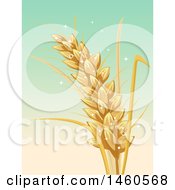 Poster, Art Print Of Wheat Stalk Over Gradient