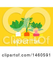 Clipart Of A Carrot And Radishes In A Garden Over Harvest Time Text On Yellow Royalty Free Vector Illustration