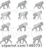Poster, Art Print Of Set Of A Chimpanzee Walking In Sketched Drawing Style