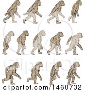Poster, Art Print Of Set Of Homo Habilis Walking In Motion In Sketched Drawing Style