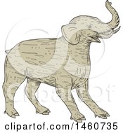 Clipart Of A Tapir Like Baku Mythicial Creature In Sketched Drawing Style Royalty Free Vector Illustration