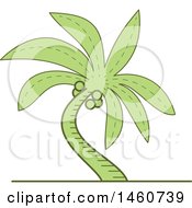 Poster, Art Print Of Curved Green Tropical Palm Tree In Mono Line Style
