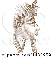 Sketched Tutankhamun Mask