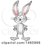 Clipart Of A Cartoon Gray Bunny Rabbit With Hands On His Hips Royalty Free Vector Illustration by Domenico Condello