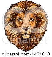Poster, Art Print Of Sketched Majestic Male Lion Head