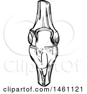 Clipart Of A Sketched Knee Joint Royalty Free Vector Illustration