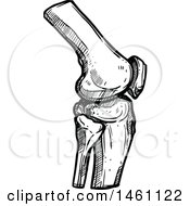 Clipart Of A Sketched Knee Joint Royalty Free Vector Illustration