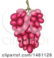 Clipart Of A Sketched Bunch Of Grapes Royalty Free Vector Illustration by Vector Tradition SM