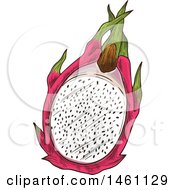 Clipart Of A Sketched Dragon Fruit Royalty Free Vector Illustration