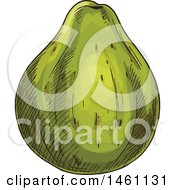 Clipart Of A Sketched Guava Royalty Free Vector Illustration