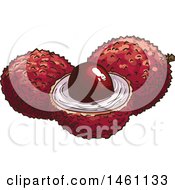 Clipart Of Sketched Lychee Fruits Royalty Free Vector Illustration
