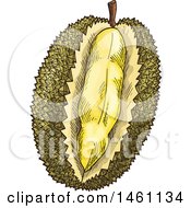 Clipart Of A Sketched Jackfruit Royalty Free Vector Illustration