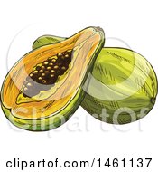 Clipart Of A Sketched Papaya Royalty Free Vector Illustration by Vector Tradition SM