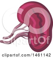 Clipart Of A Kidney Royalty Free Vector Illustration