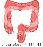 Clipart Of An Intestine Royalty Free Vector Illustration by Vector Tradition SM