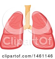 Poster, Art Print Of Pair Of Lungs