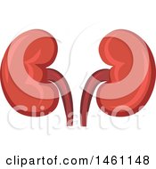 Clipart Of A Pair Of Kidneys Royalty Free Vector Illustration