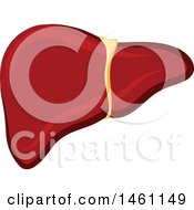 Clipart Of A Liver Royalty Free Vector Illustration