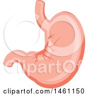 Poster, Art Print Of Stomach