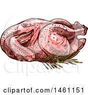 Poster, Art Print Of Sketched Raw Chicken