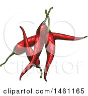 Clipart Of Sketched Chile Peppers Royalty Free Vector Illustration