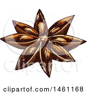 Clipart Of A Sketched Star Anise Royalty Free Vector Illustration