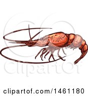 Clipart Of A Sketched Lobster Royalty Free Vector Illustration by Vector Tradition SM