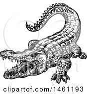 Clipart Of A Sketched Crocodile Royalty Free Vector Illustration
