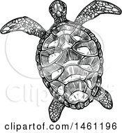 Clipart Of A Sketched Sea Turtle Royalty Free Vector Illustration