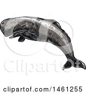 Poster, Art Print Of Sketched Sperm Whale