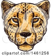 Clipart Of A Sketched Cheetah Face Royalty Free Vector Illustration