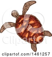 Poster, Art Print Of Sketched Sea Turtle